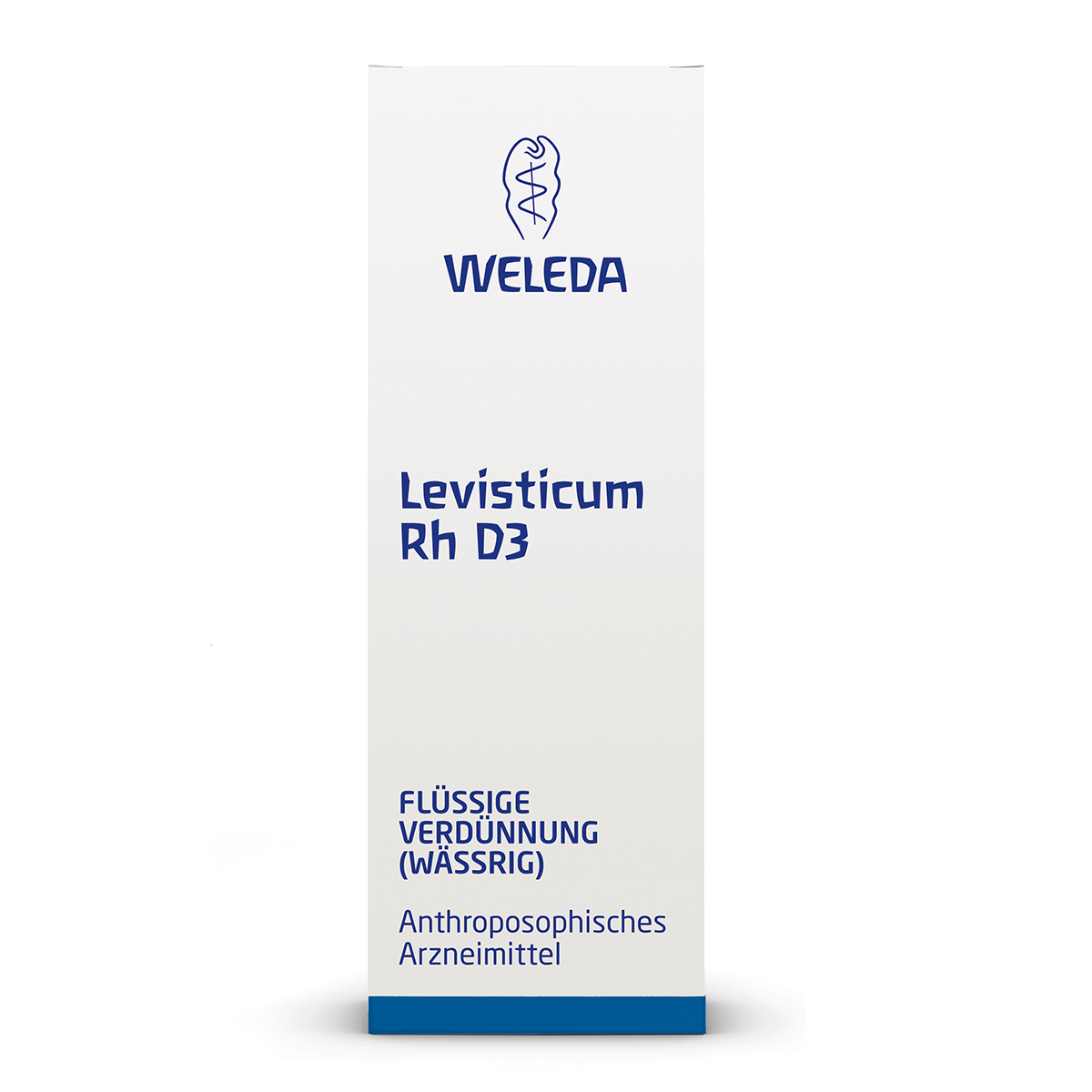 Abbildung für LEVISTICUM RH D 3 Dilution